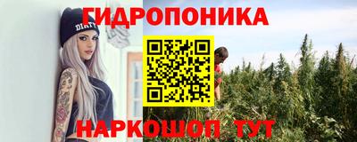 эйфоретик Свободный