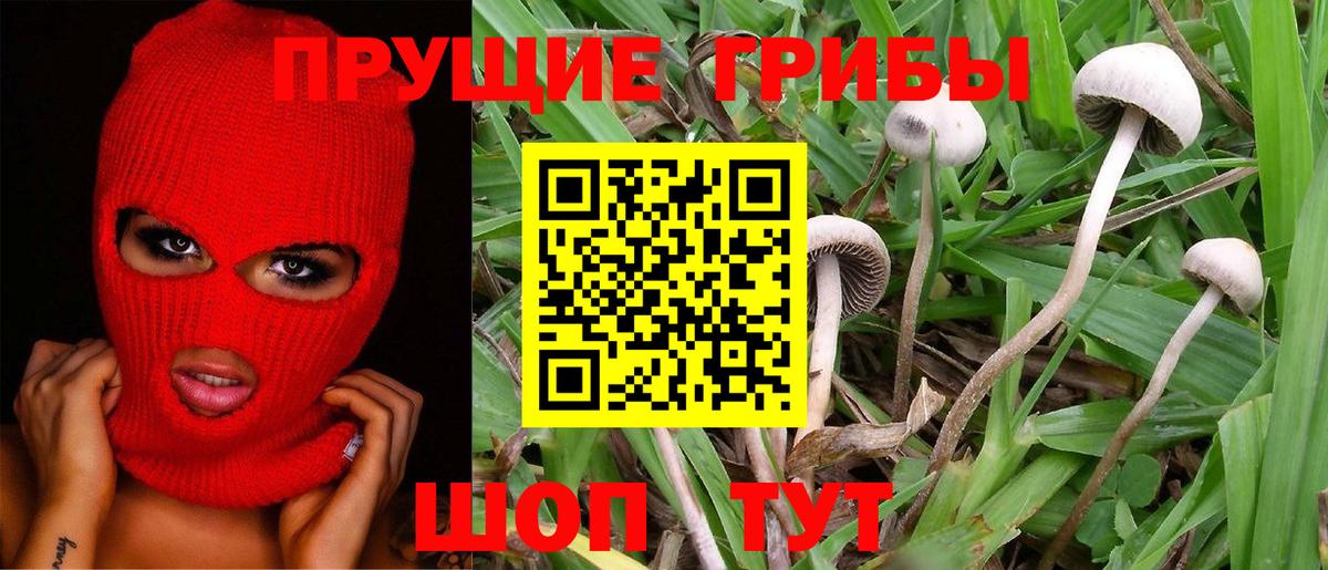 Саров  Галлюциногенные грибы Magic Shrooms  Галлюциногенные грибы ЛСД  Вход с VPN 